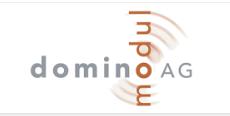 瑞士多米诺domino